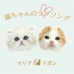 マリア＆リボンのふたり（2匹）の猫が「猫ちゃんのラブソング」をリリース！ 今年の“スーパー猫の日”にはMVも公開